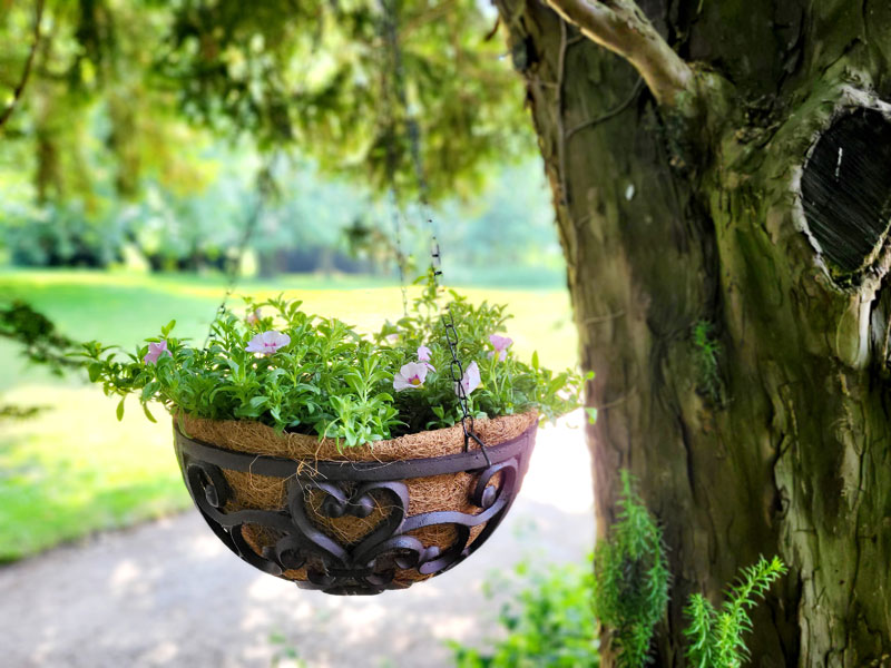 Blumenampeln für Haus, Balkon & Garten