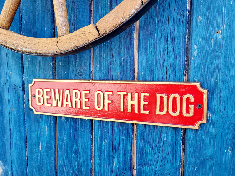 Warnschild Hund groß