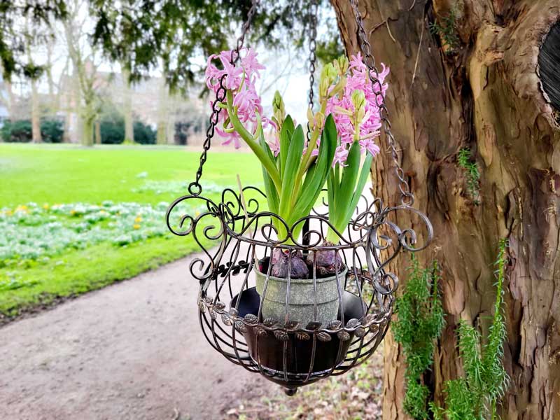 Nostalgische Hängeschale 30cm Ø zum Dekorieren & Bepflanzen Blumenampel Aluguss Nostalgische Hängeschale 30cm Ø zum Dekorieren & Bepflanzen Blumenampel Aluguss