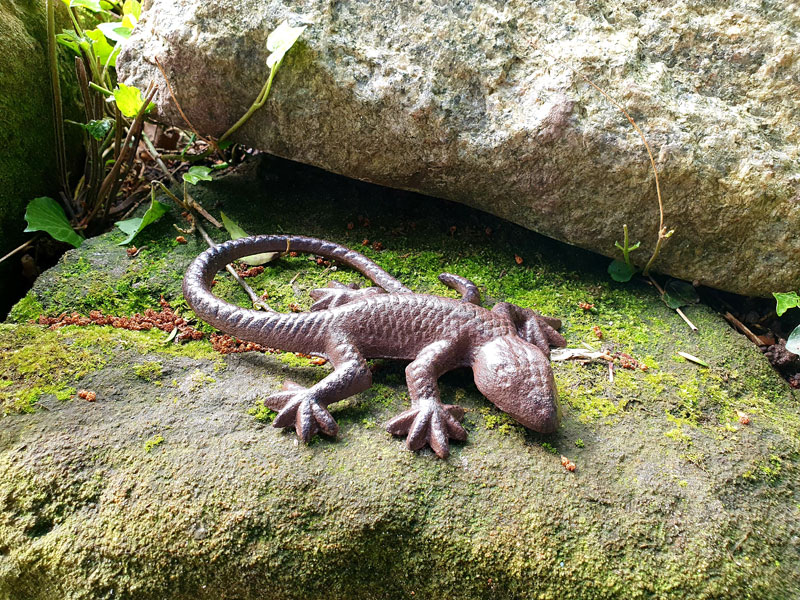 Gecko Salamander Gusseisen