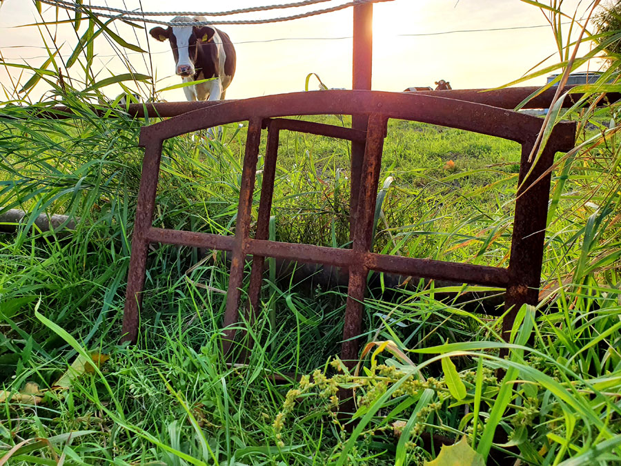 Stallfenster Ruine Kaufen