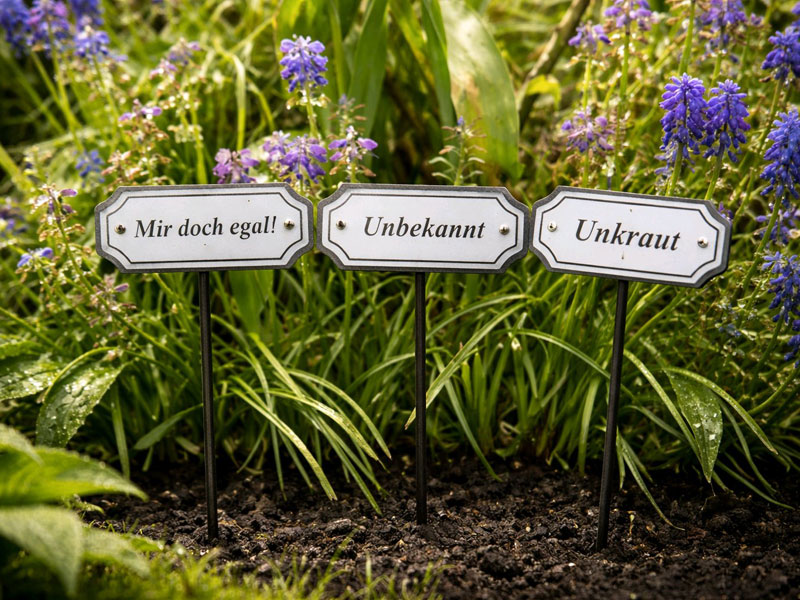 3er Set Pflanzstecker Kräuterstecker "Unkraut - Unbekannt - Mir doch egal"