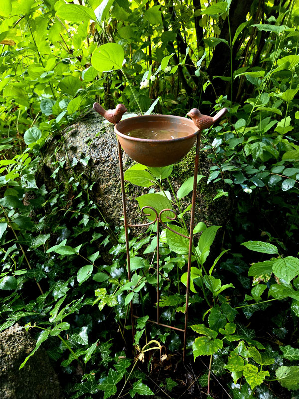 Vogeltränke auf kleinem Rankgitter 76cm "rostbraun"