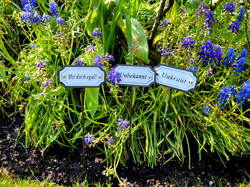 Kräuterstecker Beet