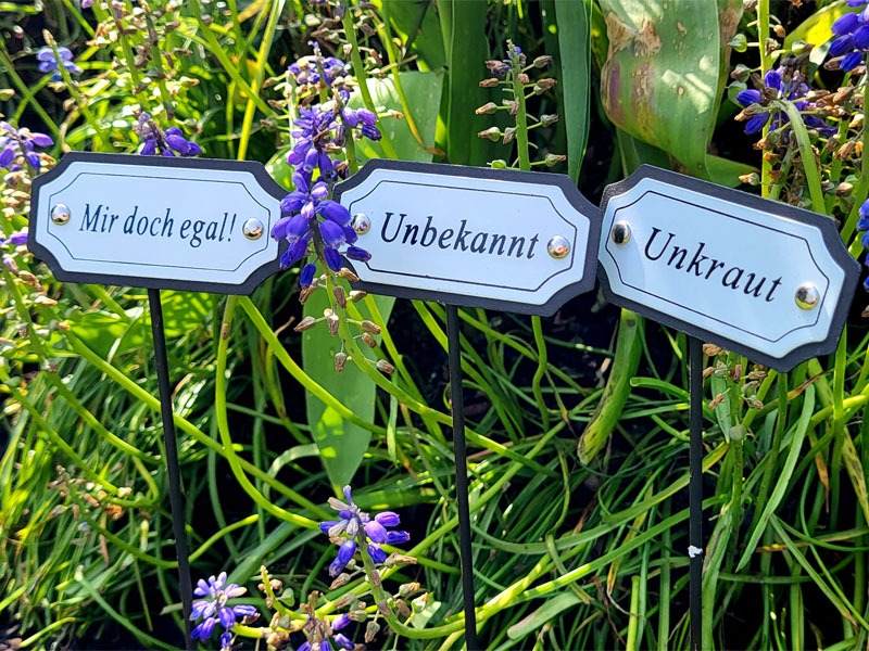 Beetstecker Gartenkräuter