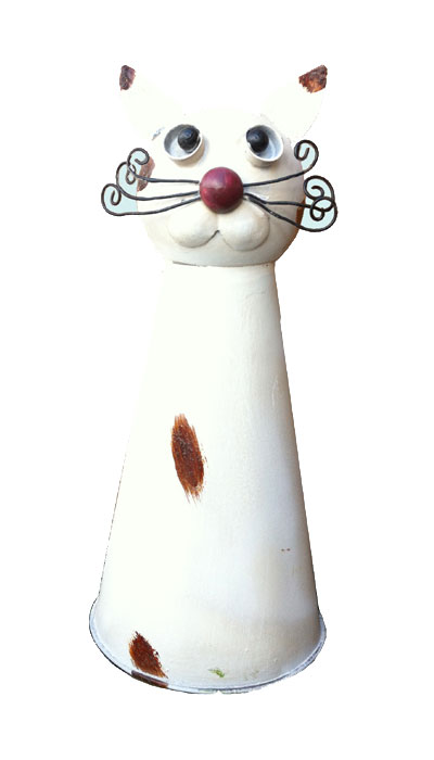 Katze Zaunhocker Katze Zaunhocker