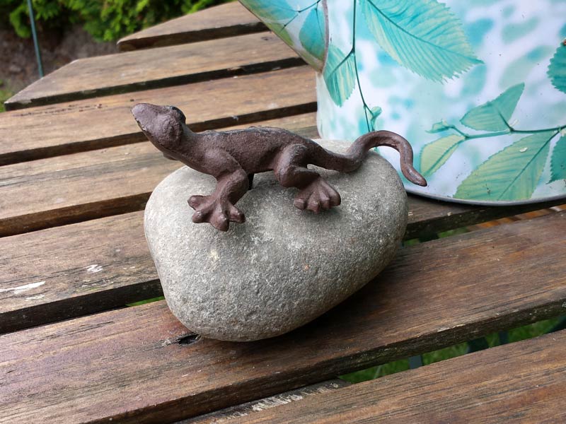 Gecko auf Stein