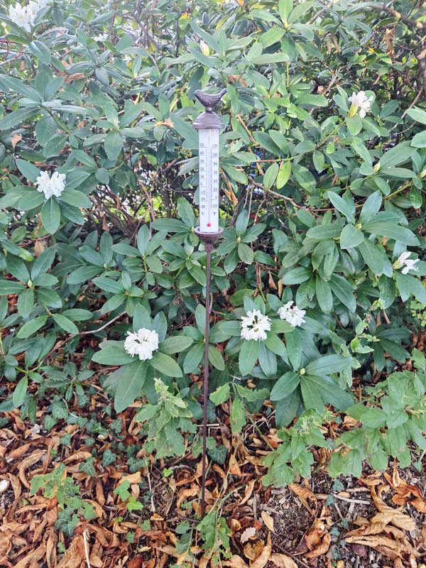 Garten-Thermometer "Vögelchen" zum Stecken auf Gartenstab 117cm Gusseisen