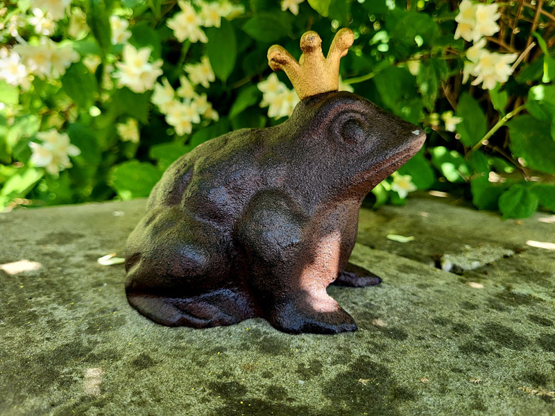 Gusseisen Froschkönig