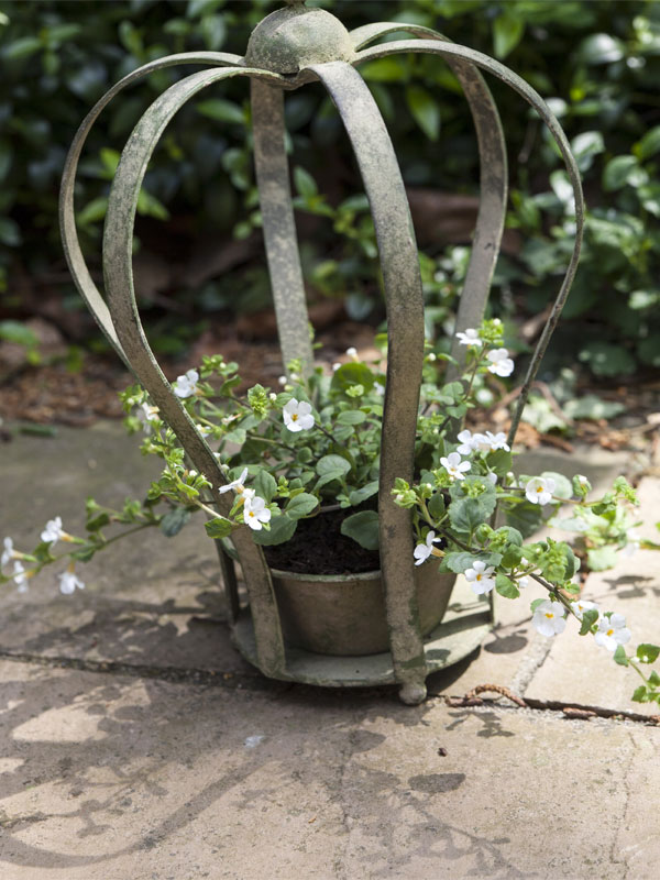 Kleine Pflanzkrone Garten